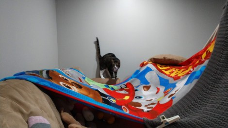 IMG_20191209_161240714