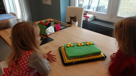 IMG_20191220_132337765