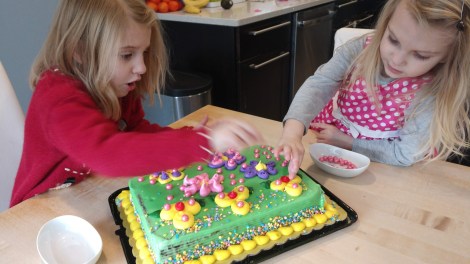 IMG_20191220_132745337