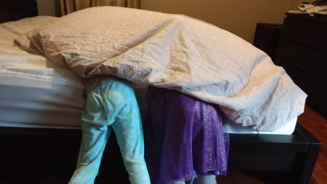 IMG_20191227_145008347