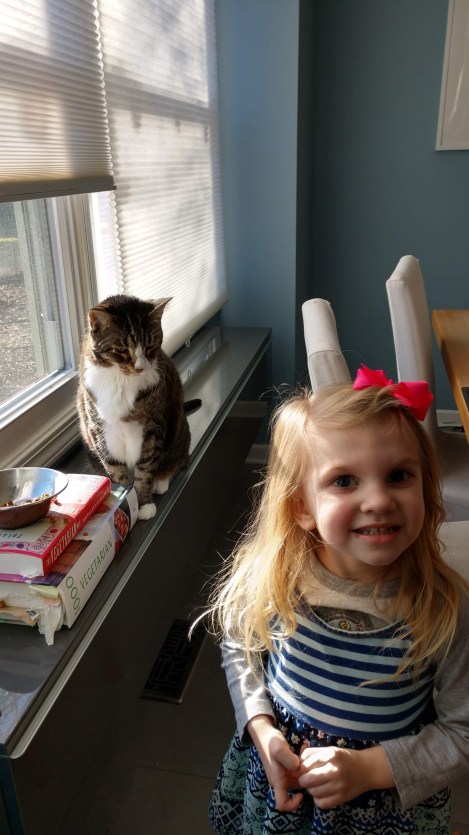 IMG_20200106_150338742_HDR