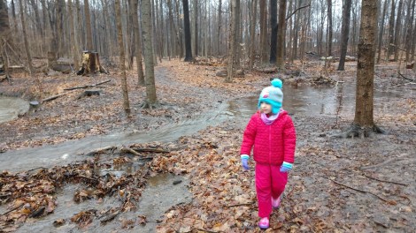 IMG_20200111_150444886