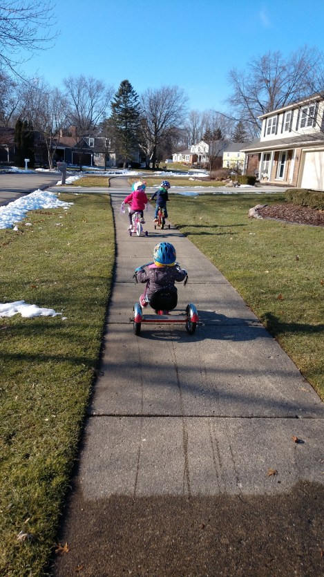 IMG_20200203_145357793