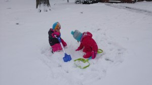 IMG_20200226_143112072