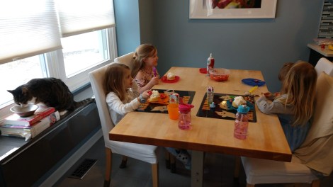 IMG_20200301_152653036