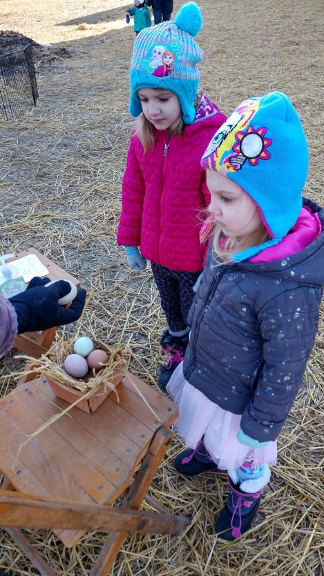 IMG_20200308_100412514_HDR