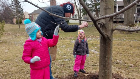 IMG_20200314_113643227_HDR