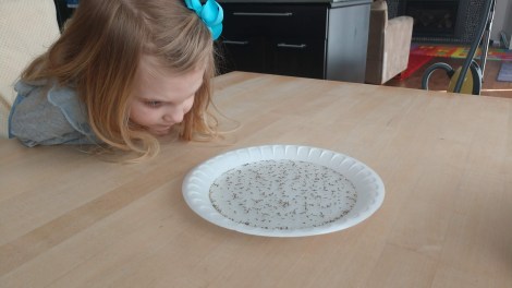 IMG_20200315_120105829