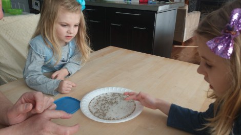 IMG_20200315_120135610