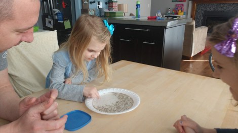 IMG_20200315_120316869_BURST000_COVER_TOP