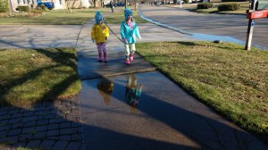 IMG_20200329_095550704_BURST000_COVER