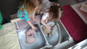 IMG_20200405_094826842