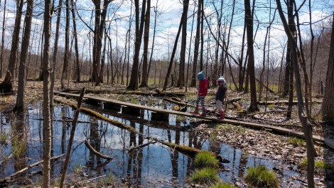 IMG_20200418_135951759_HDR