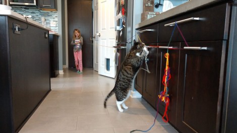 IMG_20200421_124527350