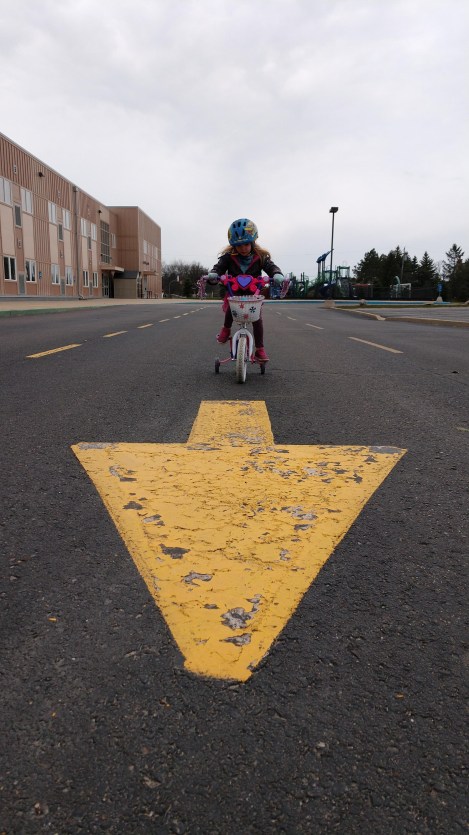 IMG_20200425_143538215_BURST003