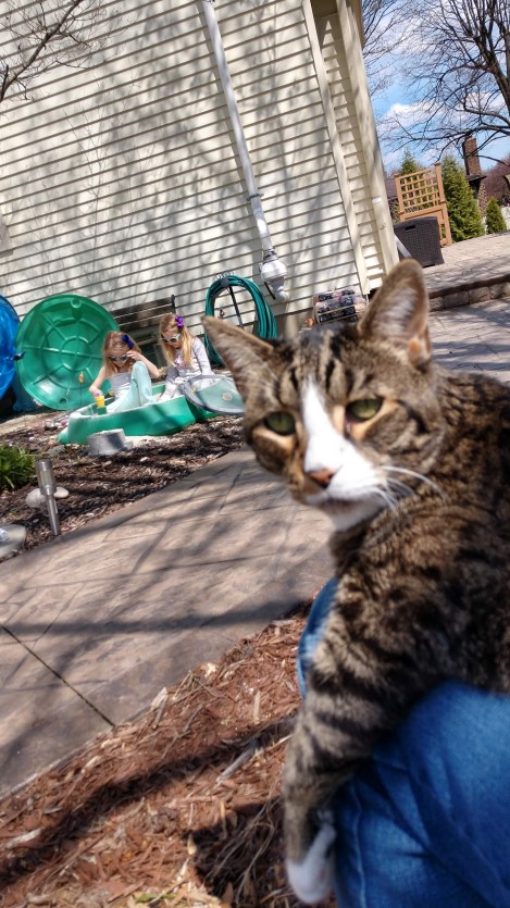 IMG_20200428_151438787_HDR