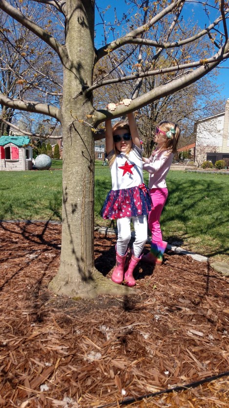 IMG_20200501_112345722_HDR