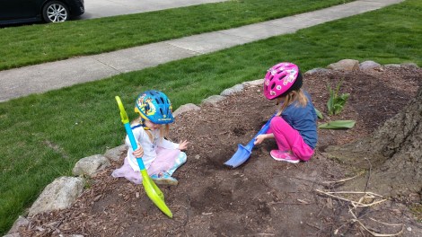 IMG_20200510_151151654