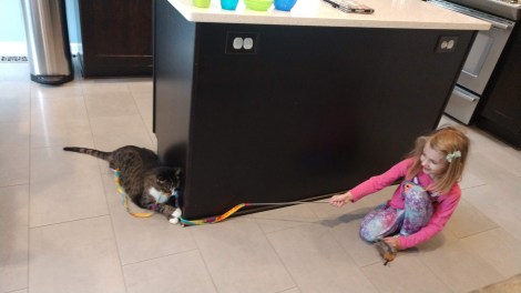 IMG_20200511_140559881