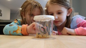 IMG_20200517_182839543_BURST002