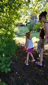 IMG_20200629_190744262_HDR