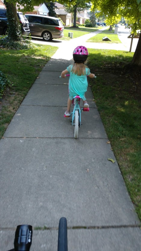 IMG_20200726_114447577_BURST000_COVER