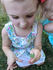 IMG_20200827_191935_1